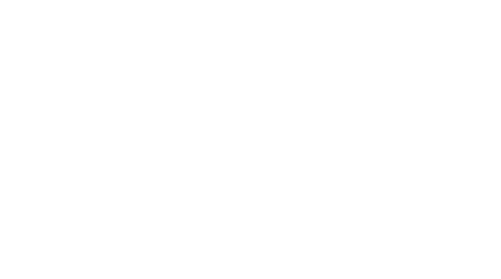 RPM Systems